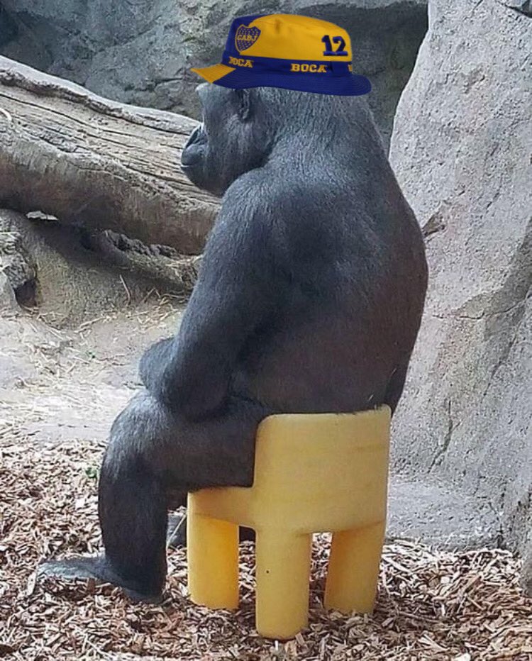 ausbjrs's tweet image. quedamos afuera.. // pero los que nos bardean quedaron afuera gracias a nosotros