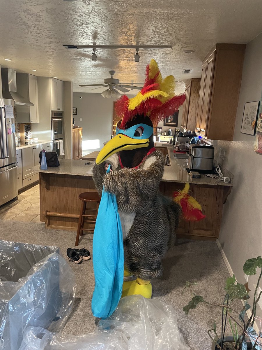 OlmsteadJustin's tweet photo. Get your doctorate, they said…May I present Dr Rose Olmstead as Rickey the Roadrunner, literacy superhero! https://t.co/YJ3U2IAGaD