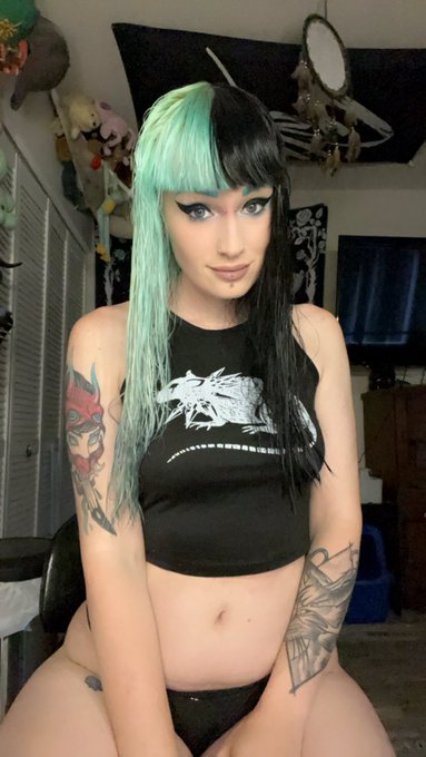 🖤 https://t.co/Df4aCRwLSx<a href="/tag/cute"class="tags"><span>#cute</span></a><a href="/tag/florida"class="tags"><span>#florida</span></a><a href="/tag/plants"class="tags"><span>#plants</span></a><a href="/tag/fortwaltonbeach"class="tags"><span>#fortwaltonbeach</span></a><a href="/tag/aest"class="tags"><span>#aest</span></a>