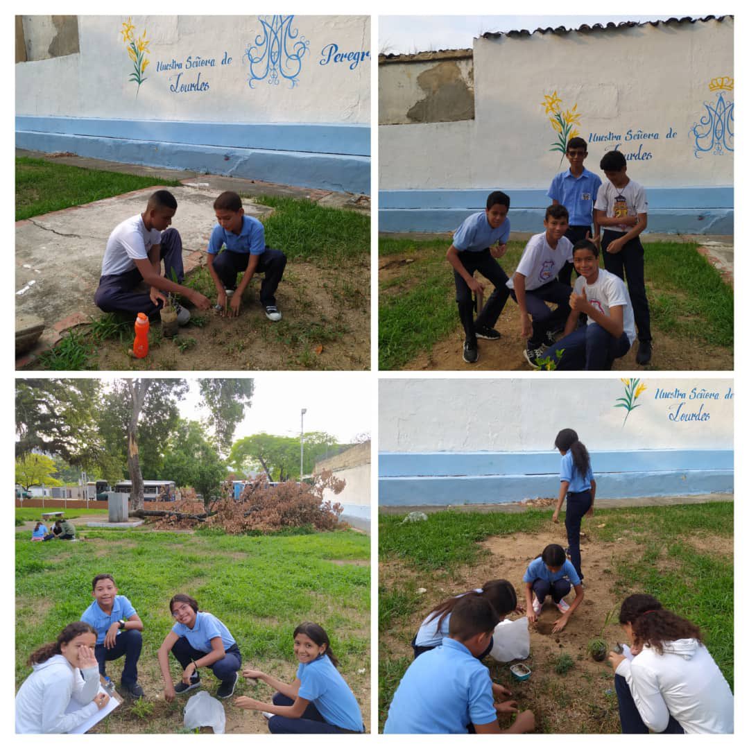 Como parte del fortalecimiento de PTMS y el embellecimiento de la Plaza El Peregrino nuestros estudiantes de 1ero y 2do año de la UEPC JOSEFINA ROJAS LOVERA, realizaron siembras de plantas ornamentales. <a href="/_LaAvanzadora/">Yelitze Santaella</a> <a href="/Soykarinacarpio/">Karina Carpio</a> <a href="/cheanahis/">Anahis Palacios</a> <a href="/CDCEAragua/">CDCE ARAGUA</a> <a href="/vina_sorangel/">Sorangel Vina</a>