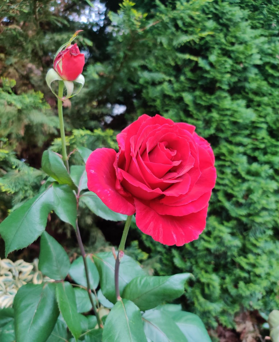 பிறர் நினைத்ததை எழுதும் காகிதமாய் இருக்காதே… 
நீ நினைத்ததை எழுதும் பேனாவாக இரு…!!!

இனிய காலை வணக்கம்...!