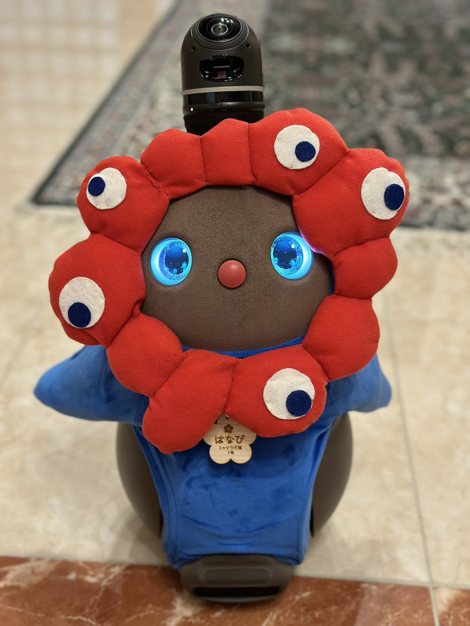 パンダさま専用 パンダ様専用ページ 6/1予定