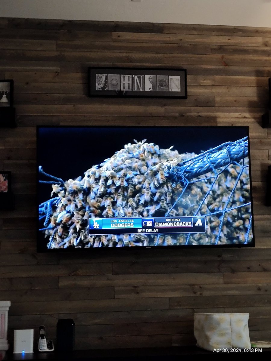 BanciJeff's tweet photo. So the @Dbacks game is on a delay because of bees, yes you heard that right a bee delay. First time I've heard of this!!! #thatsafirst #beedelay https://t.co/2N2yMbwEKk