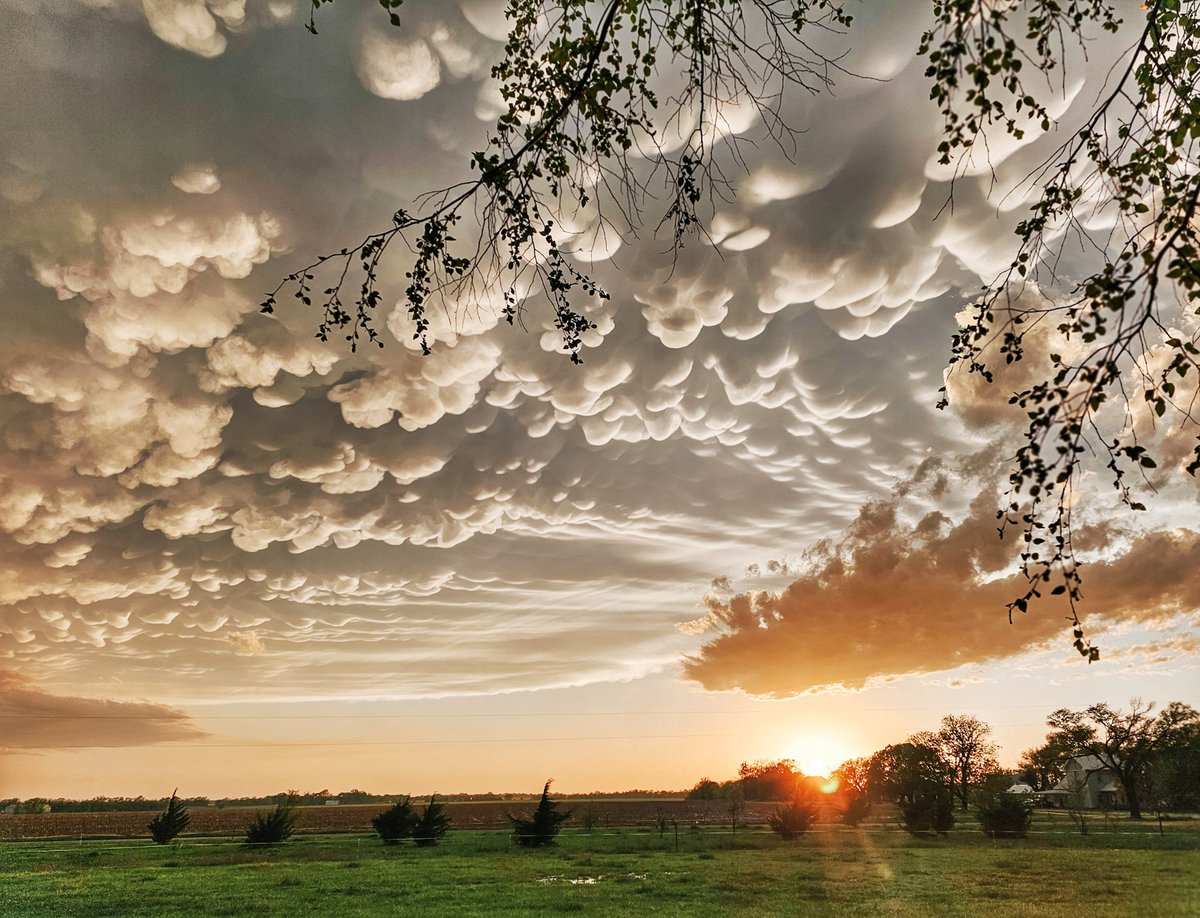 MountsofKansas's tweet image. Post-storm Kansas mammatus formations. #mountains #skymountains #storm #stormchaser #outdoorfun #OutdoorAdventures #getoutside