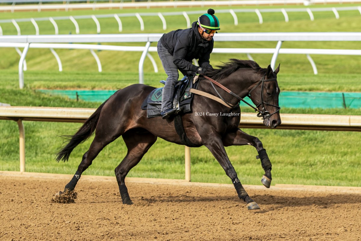 Trademark (Upstart) and Assistant Trainer Franklin de Jesus up gallop at Keeneland on April 26. Trademark is entered in the upcoming G2 Alysheba Stakes on May 3.