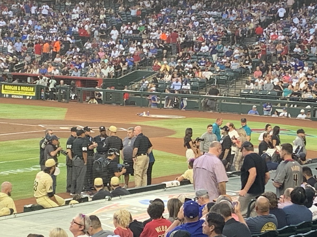 Game delay. Killer Bees with a massive hive behind the plate! You can’t make this shit up!