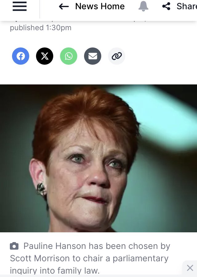 Pauline Hanson has launched an extraordinary attack against women who she claims are lying about domestic violence in the family court
#Lnpcrimefamily