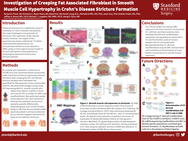 Intestinal strictures in Crohn’s disease pose significant morbidity, yet the origins of smooth muscle expansion remain elusive. Researcher Benjamin Pham aims to better understand this phenomenon in this study. #Holman24 🔗 tinyurl.com/4zn983y4