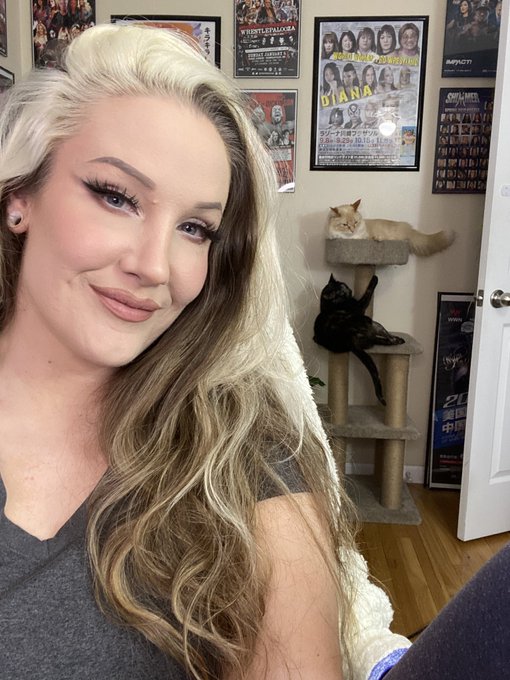 Live on Twitch. Come talk some shit  🖤 https://t.co/4qIR0Dz4Q4 https://t.co/6xxRMWrThO