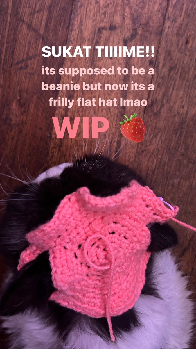 wio’s gonna be a coquette stwobebbi. cant wait to crochet the green parts