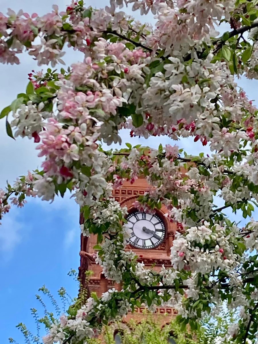 Dearborn station clock tower #photooftheday #fotografía #photography