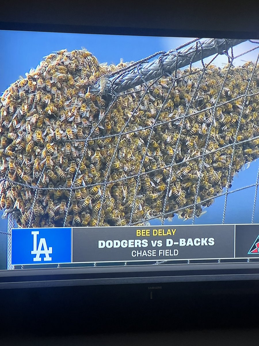 My beekeeper rate triples @Dodgers @SportsNetLA