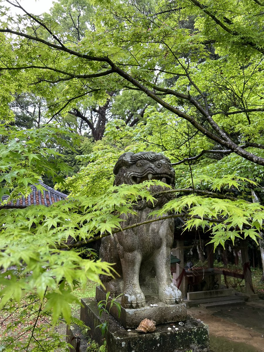 ushimadoshrine tweet picture