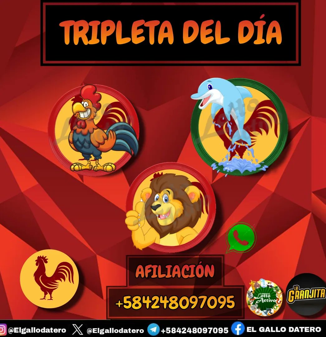 Elgallodatero tweet picture