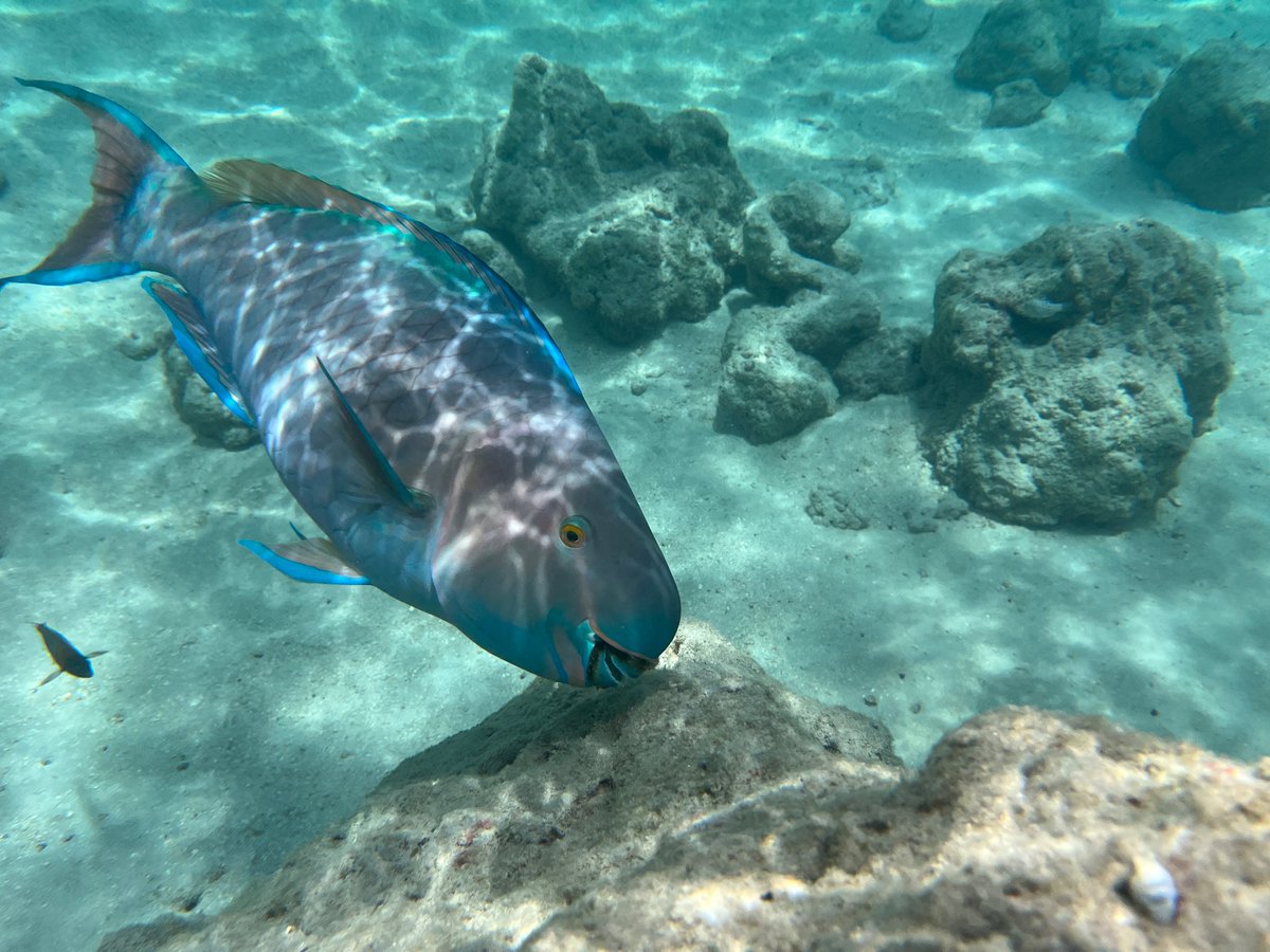 Hanauma Bay, Hawaï 💙
