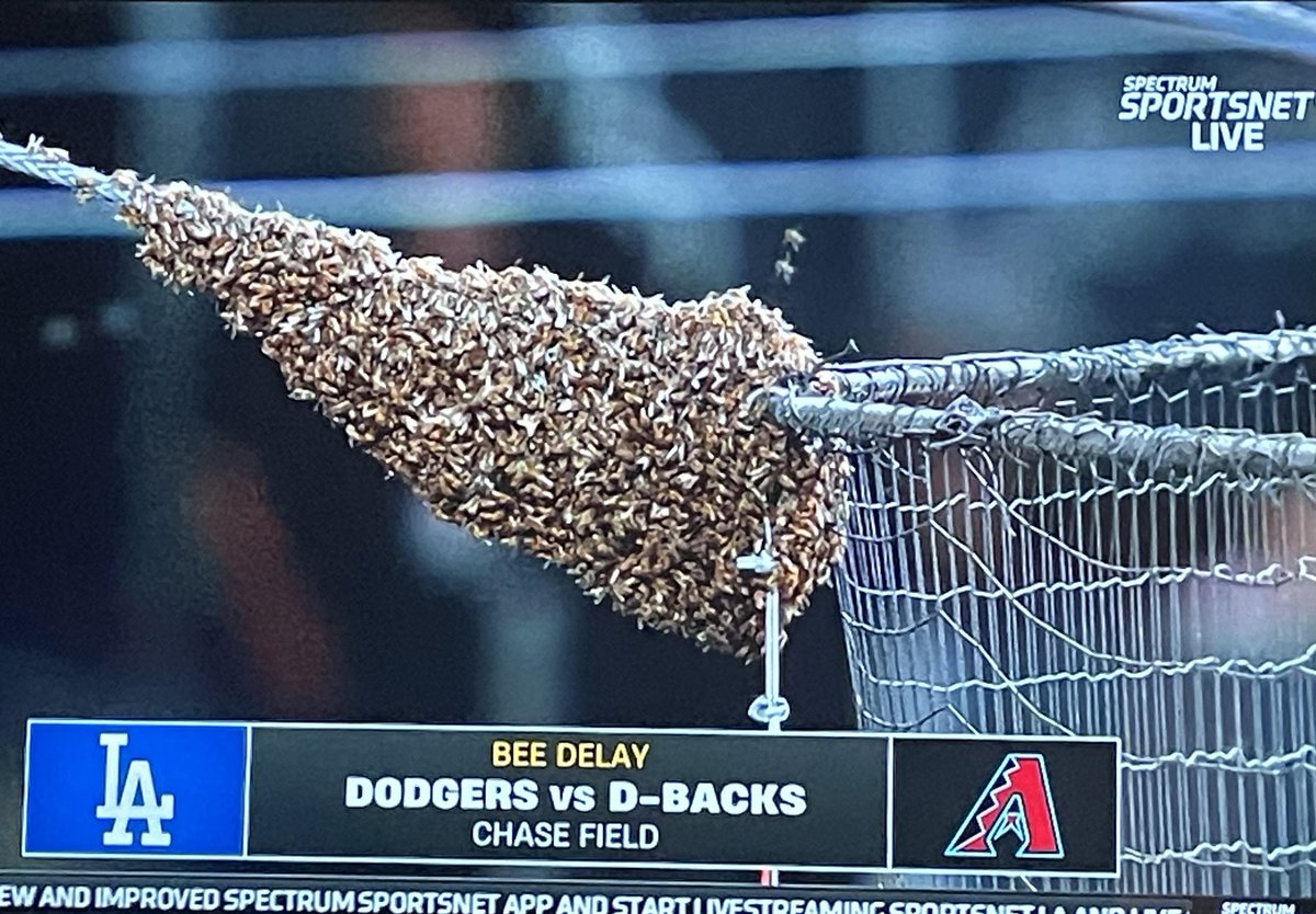 I'm officially coining the term 'bee-lay,' for a baseball game delayed by a swarm of bees. 🐝⚾️ @SportsNetLA #Dodgers #DBax #MLB #Beelay