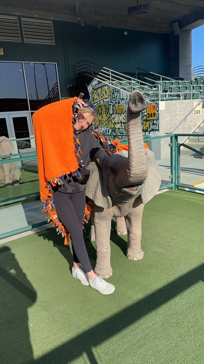 Let’s go Oakland!! #ATTHECOLISEUM