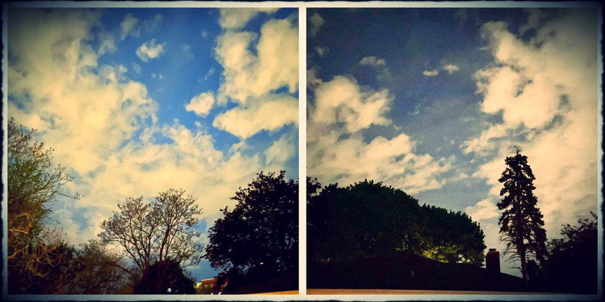 AgainMichelle's tweet image. Dancin in the moonlight 🎶