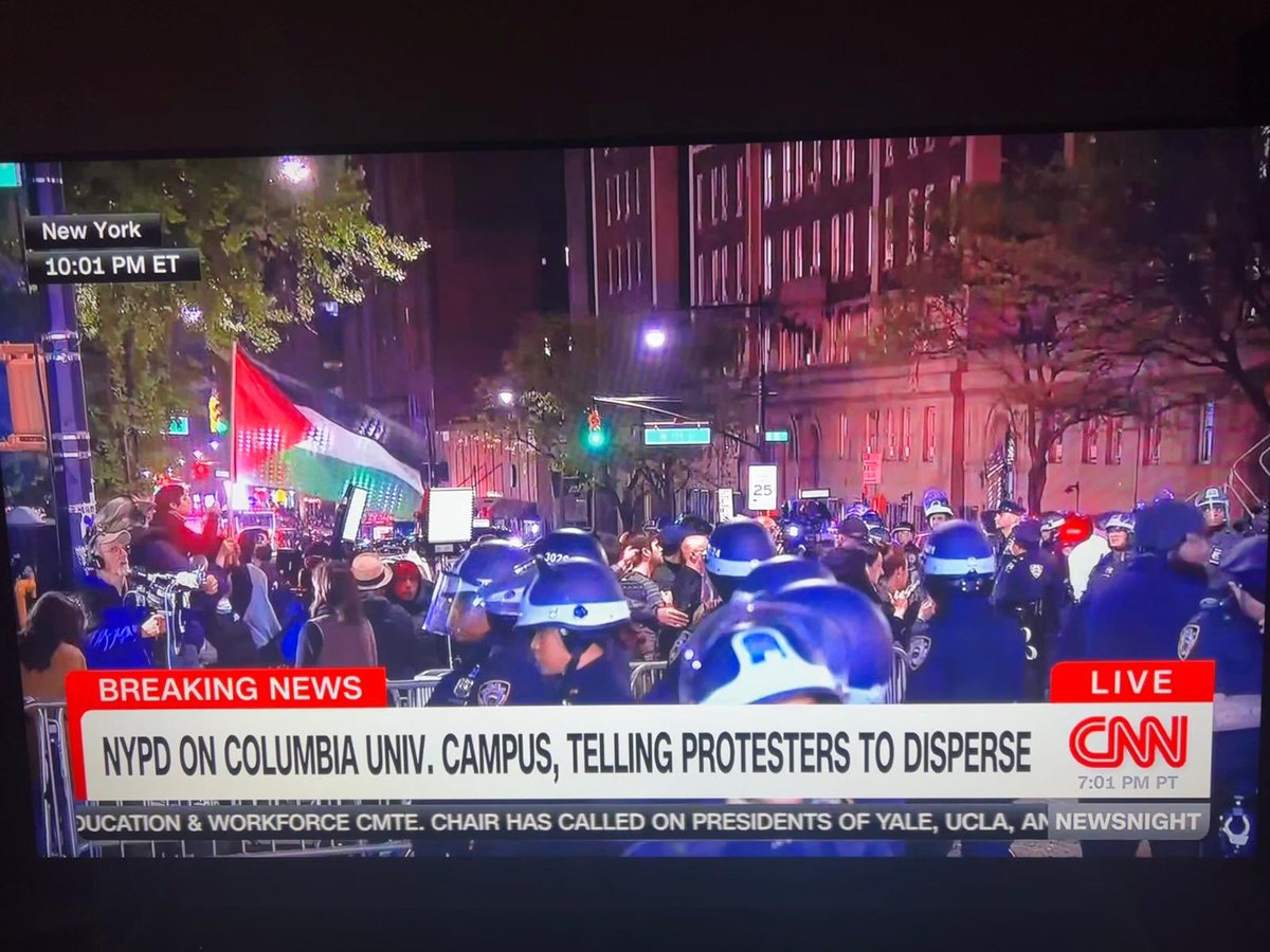 The Palestinian flag flying over the heads of the brutal NYPD is powerful and beautiful 🇵🇸 CNN has not mentioned why the students are protesting a single time. They have fear mongered and are treating this like an ad for the cops- humanizing NYPD as they dehumanize the students