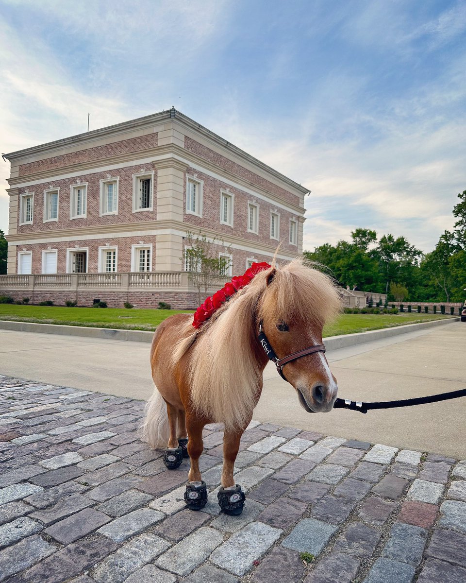 Little KY Derby pre-celebration event tonight