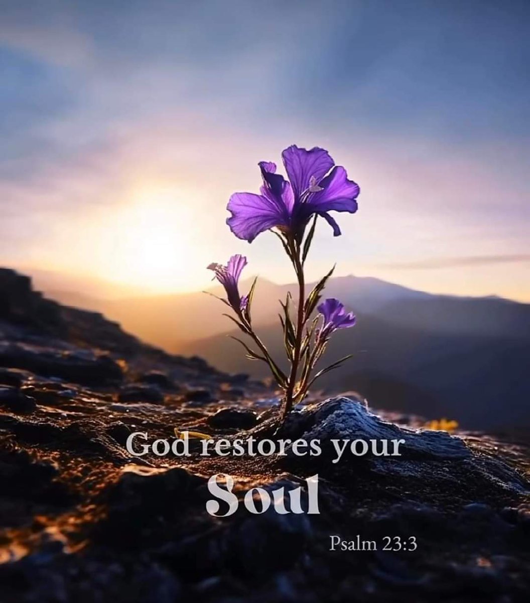 JEHOVAH RAPHA; Our Healer our Restorer restores our soul. ~Amen