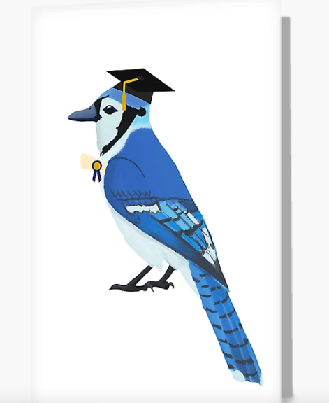 Our bluejay mascot is graduating Thank you cards for your grad, also available on 100+ made to order gifts Other graduating mascots too #BuyIntoArt #BlueJays #Graduation2024 #GraduationGifts #GoHop #Creighton #JohnsHopkins #Tabor #Westminster #Elizabethtown #Elmhurst #GoJays