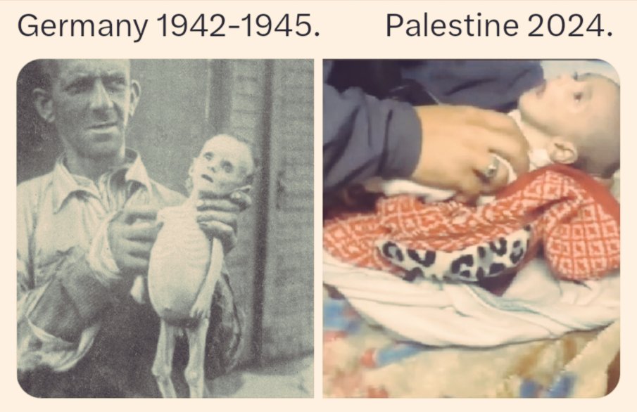 Can you imagine if these were images of jewish/zionist/white american/white british kids being churned out everyday?