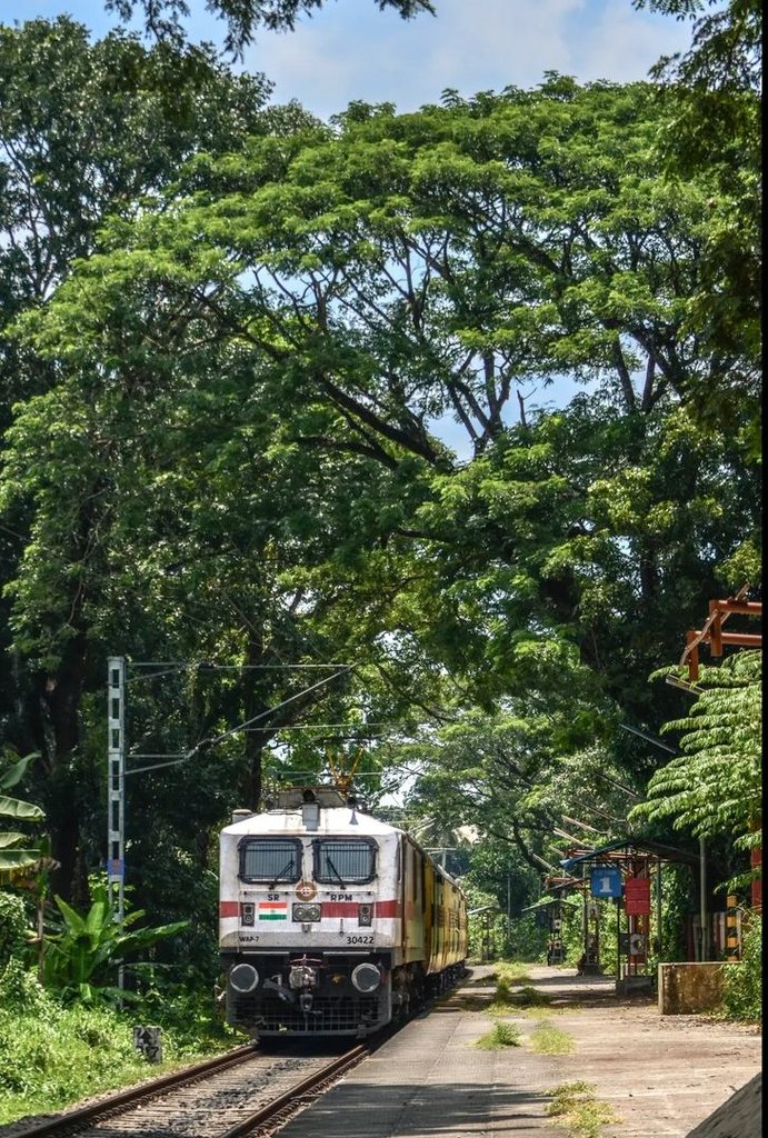 Today's #railway #photo - the greenery in the stations on the Sengottai-Kollam route make them look so beautiful - Kundara East railway station, in the jurisdiction of @drmmadurai in @GMSRailway! Pic courtesy, Gautham Karthik! #IndianRailways #photography @KeralaTourism @PiyuNair