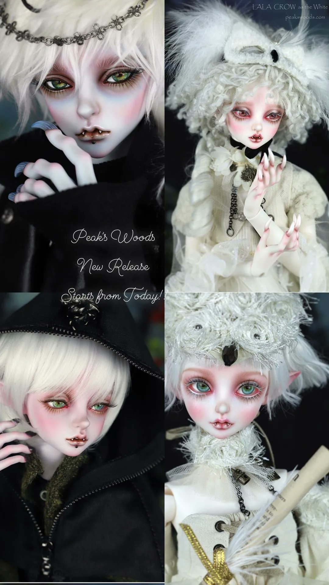 Peak's Woods FOCDOLL値下げ中 Peak's Woods FOCDOLL値下げ中 Peak's Woods FOCDOLL値下げ中 Peak's