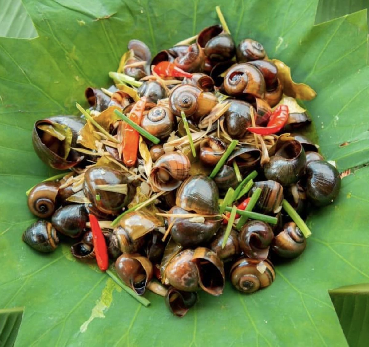 Do you like snails? Its steamed snails with lemongrass ingredients!