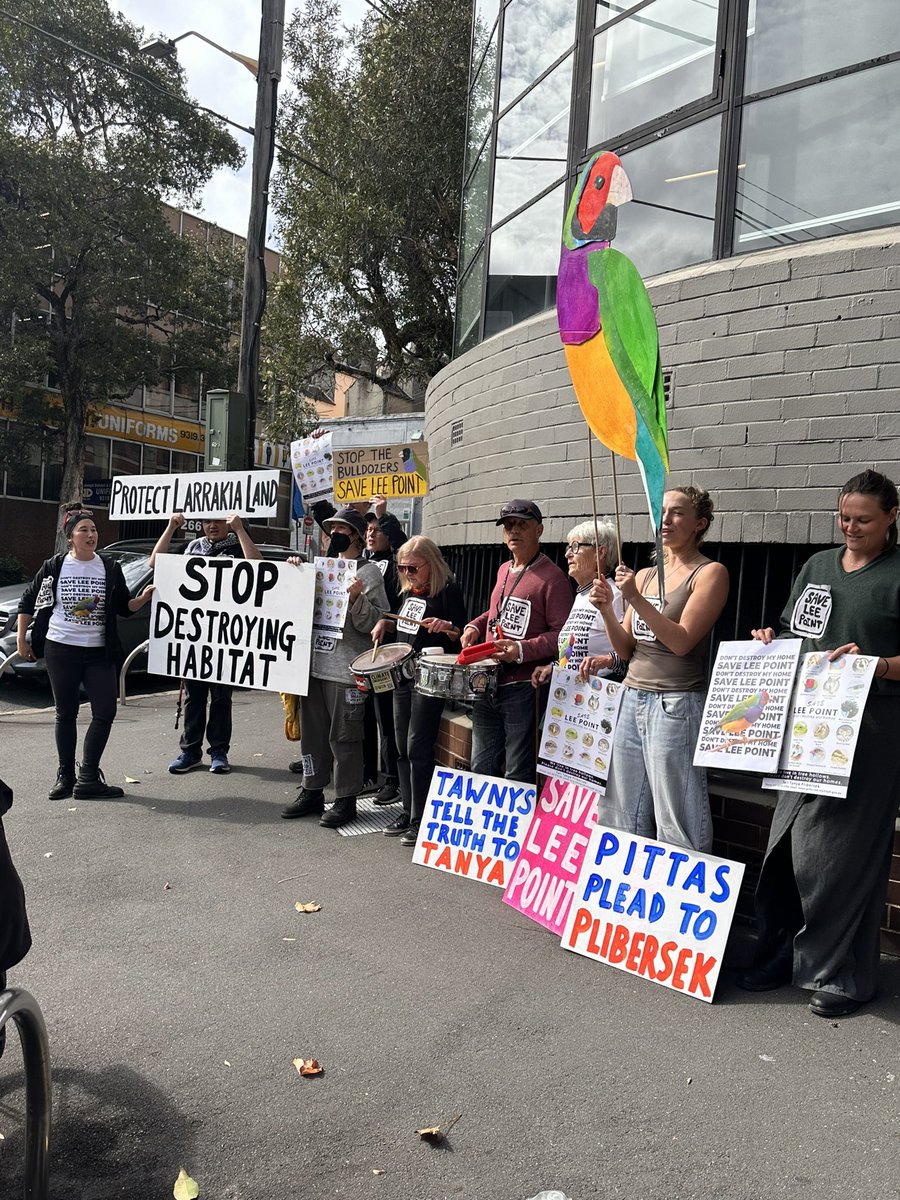 Stephanie Carrick tweet media