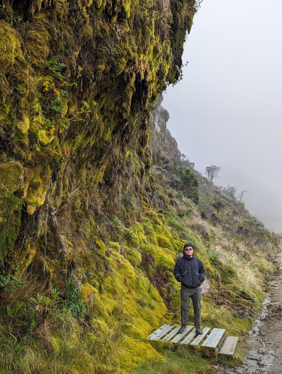 Otra foto del paisaje lindo del Nevado del Ruiz