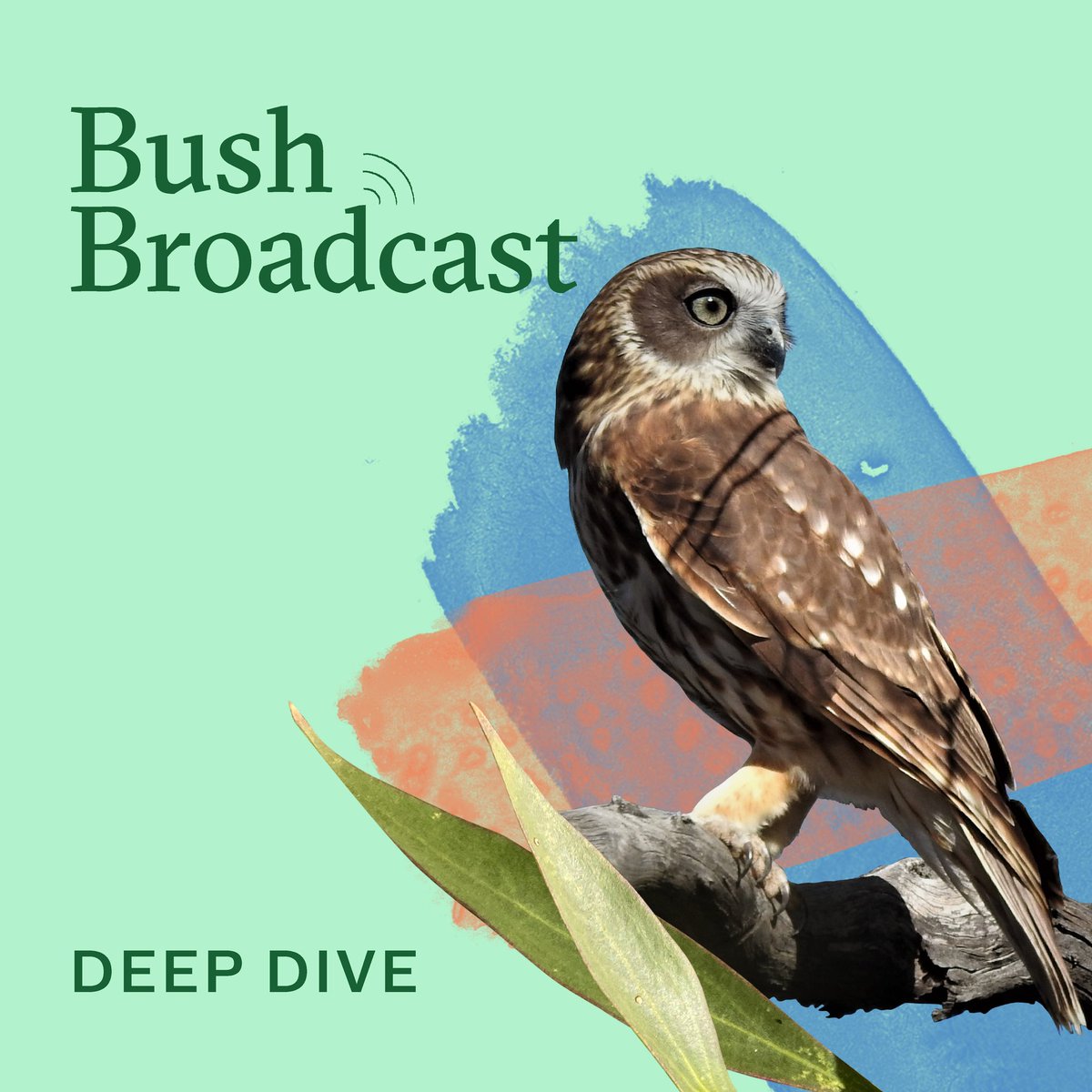Did you miss out on our very first Bush Broadcast 'Deep Dive' webinar? 

Don't worry, you can still catch up on this captivating conversation here 👉 youtube.com/watch?v=eBBpFj…

#bushbroadcast #deepdive #webinar #conservationcareers #Victorianwildlife