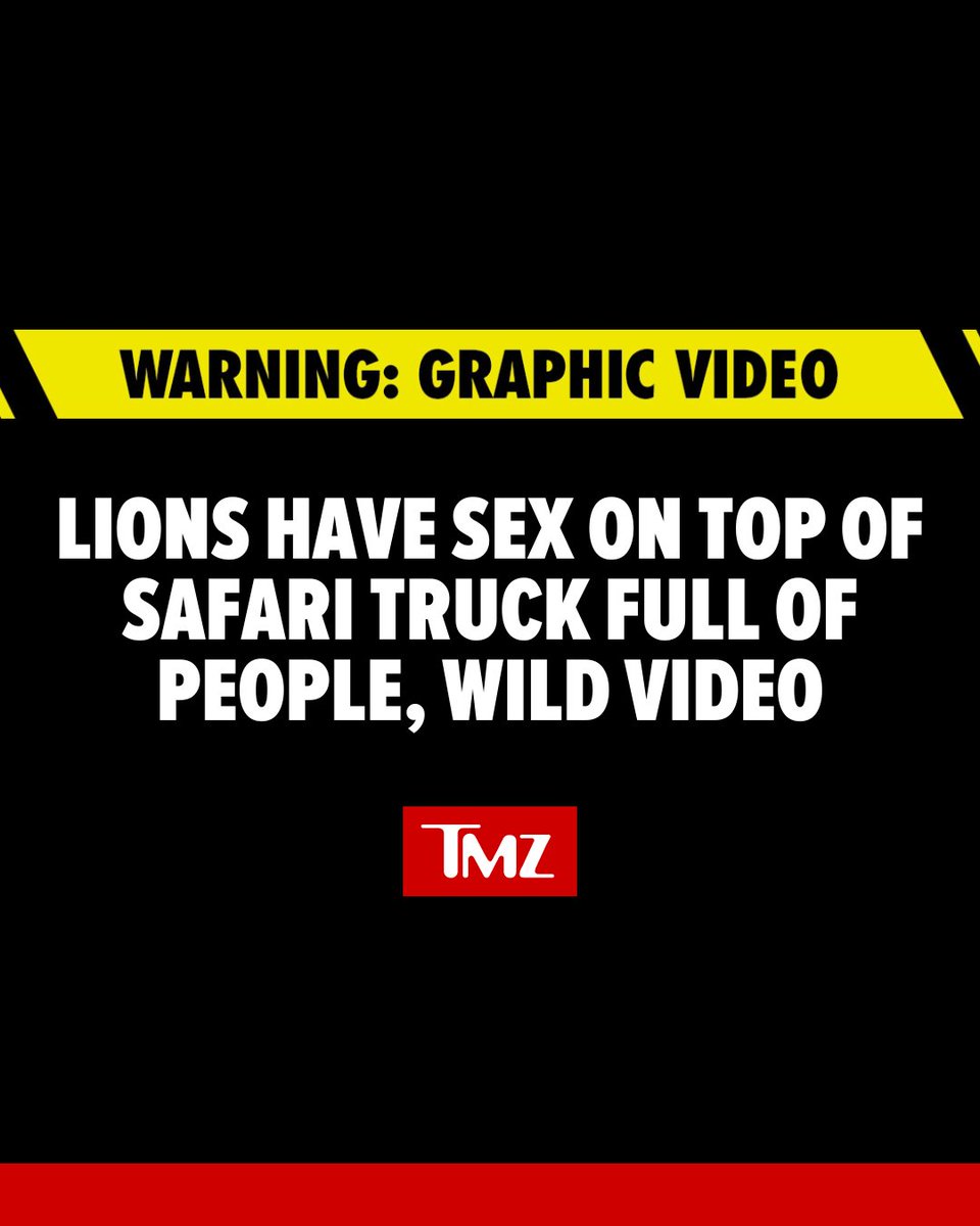 A couple of lions felt the love so much that they started banging on top of a tourist safari truck -- and the people inside certainly got an eyeful and then some. See more 👉 tmz.me/55yF2DV