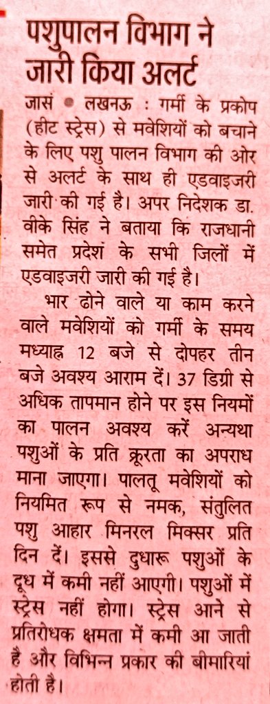 पशुपालन विभाग द्वारा जारी एडवाइजरी के अनुसार मध्यान्ह 12 बजे से 3 बजे के बीच 37 डिग्री से ज्यादा तापमान होने पर भार ढोने वाले,कामगार मवेशियों को आराम दें अन्यथा पशुओं के प्रति क्रूरता का अपराध माना जायेगा। और नन्हे मुन्ने बच्चों की छुट्टियां अपरान्ह 1 बजे होती हैं।🤔 #Justसोचिंग