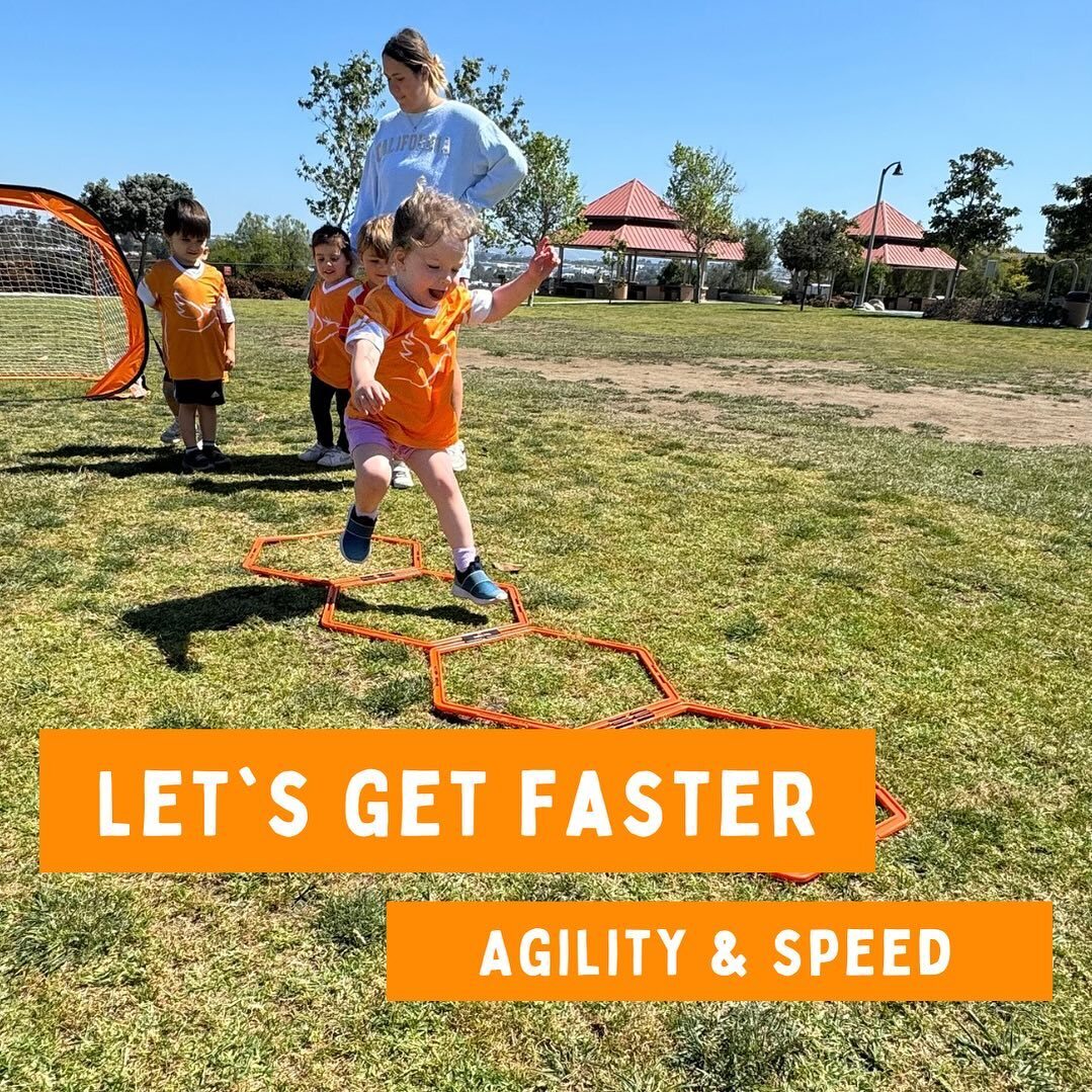 We took, 'hey, look how fast I can go' up a notch and got our ages 3-4 to train in the agility rings. Now they can run much much faster!

-------
#gophoenixsports #gophoenixfit
#carlsbadvillage #carlsbadkids
#carlsbadschool #carlsbadparents 
#carlsbaddaycare #carlsbadmoms
#carl…