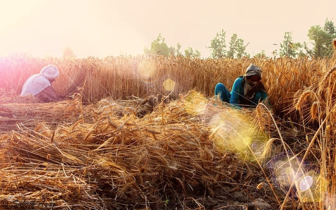 Today, on #LabourDay, let's honor the hard work and dedication of workers around the world. From brick kilns to office towers, every job deserves respect and fair treatment. Let's strive for a world where every worker is valued, safe, and empowered. #WorkersRights #MayDay