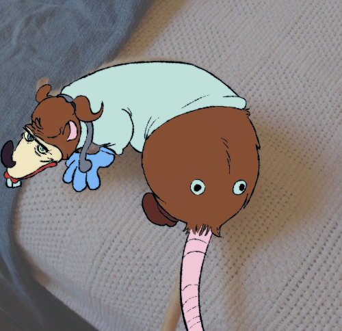 SquibbleDawg's tweet photo. @RatsTophat i'll do ya double
#bbieal #BaldisBasics #DrRatflex https://t.co/JVJ5mCzzye