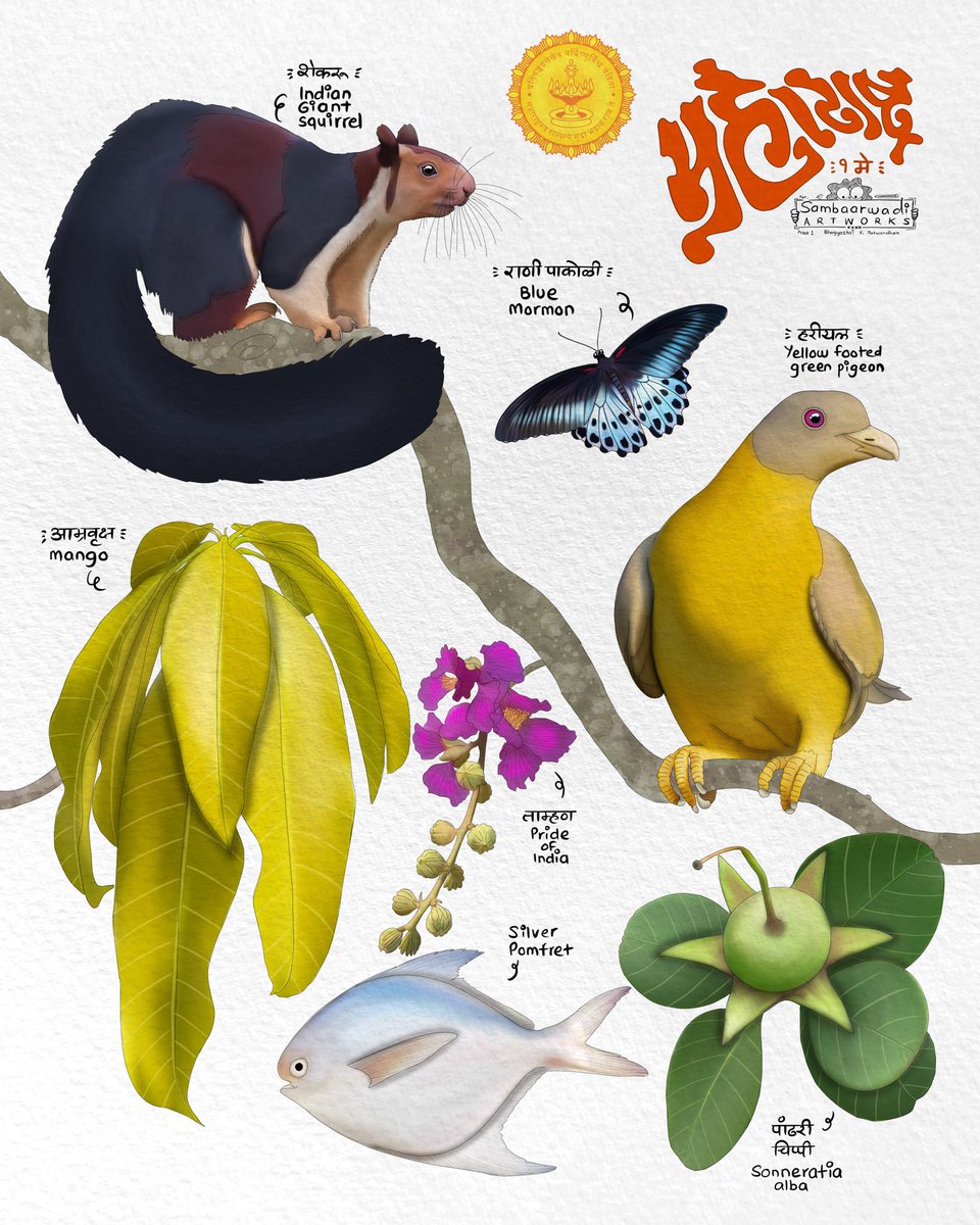 जय जय महाराष्ट्र माझा🚩 Maharashtra State symbols 🪷 Tree : Mango : आंबा Bird : Yellow footed Green pigeon : हरोळी Animal : Indian Giant Squirrel : शेकरू Butterfly : Blue Mormon : Mangrove Tree : पांढरी चिप्पी Fish : Silver Pomfret : सरंगा Flower : Pride of India : ताम्हण
