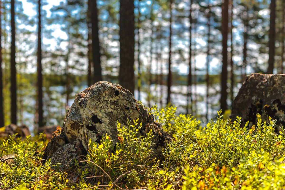 #RockinTuesday #Finland #MyPhotoArchive #landscape #NatureBeauty #NaturePhotography #Nature