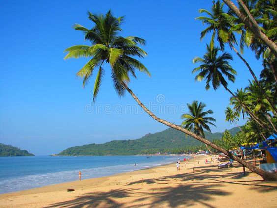 Daydreaming of palm trees and sparkling water? Manohar International Airport can take you there! ✈️ Book your Goa getaway today and get ready to unwind in paradise. #gox #feelgoa #Travelthrills #ManoharInternationalAirport