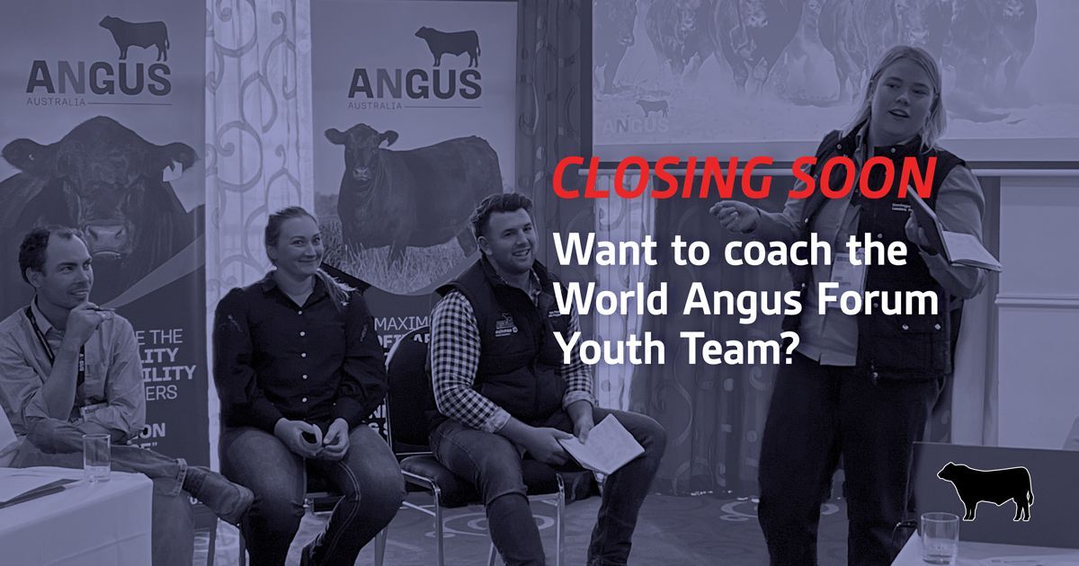 🚨WORLD ANGUS FORUM YOUTH TEAM COACH APPLICATIONS CLOSE SOON! 🚨
For full selection criteria or to apply visit the Angus Australia website 👉 buff.ly/3WgRtwr 
@worldangusforum #AngusAustralia #AngusYouth #GrowAngus #youthinag #leadership #AngusFamily #AngusCattle #WAF2025