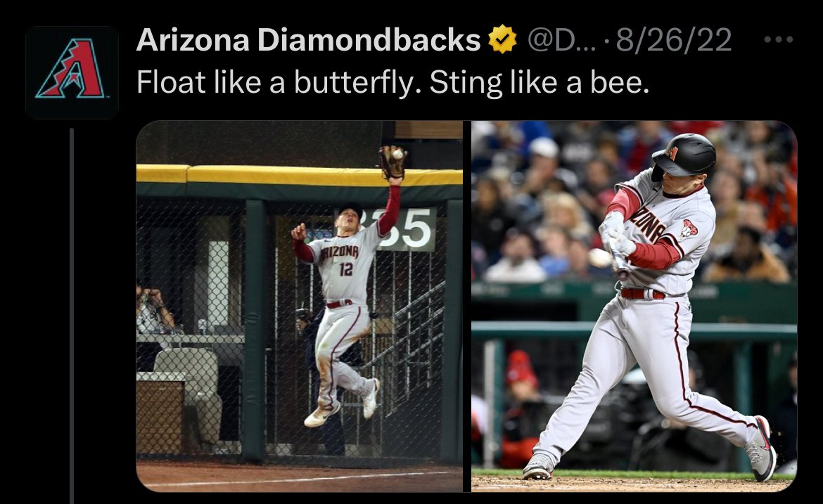 Baseball Images that Precede Unfortunate Events tweet media