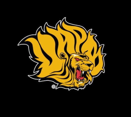 After a great conversation with @C_Forestier1991 I have received an offer to play at @UAPBLionsFB !