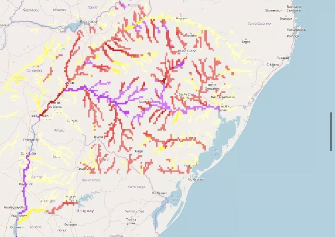 Brᴜno Catіnі tweet media