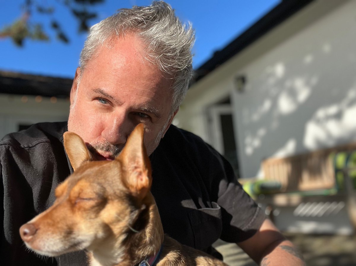 Marco Collins tweet media