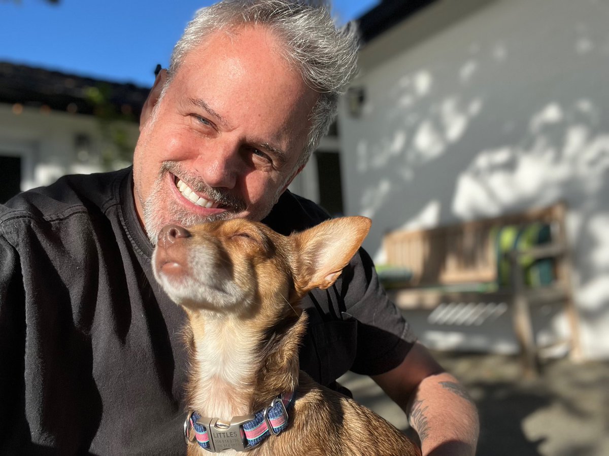 Marco Collins tweet media