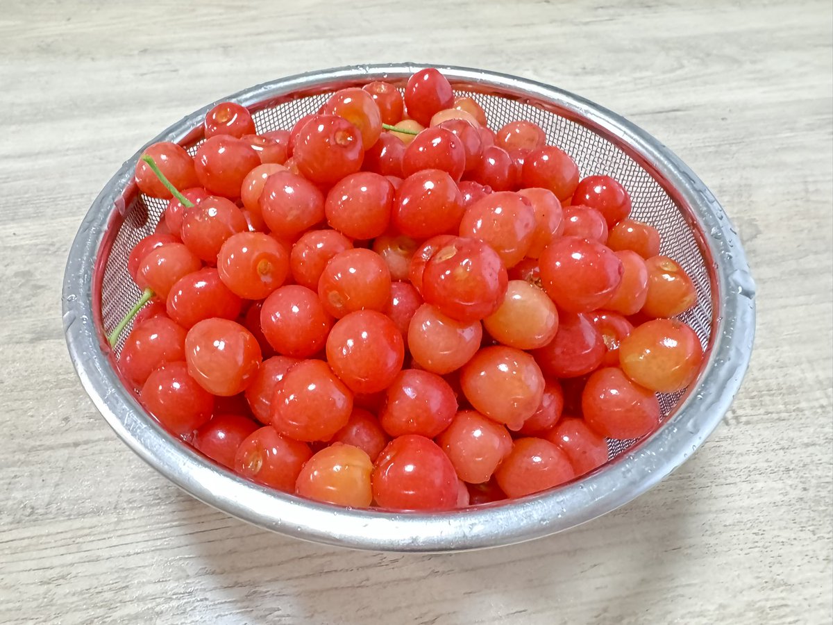 lecrin1982's tweet photo. 雨だけど、鳥に盗られる前に収穫しました。🍒´-🕊️

庭に植えた時は20cmく���いだったさくらんぼの木から、こんなに沢山採れる日がこようとは✨

 #初夏  #さくらんぼ  #家庭菜園 https://t.co/KUk8Qfwvhc