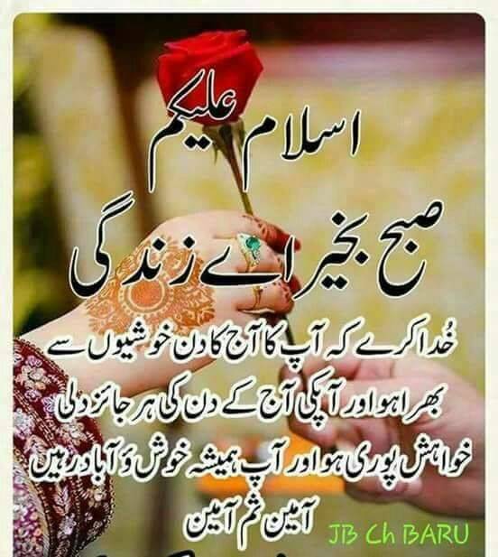 Assalamu alaikum subha bakhair good morning 🔙💋☘️🍁🌷❤️❣️😚

💘💘#Champio☘️nsLeague🍁🌻💕
💘🌱#BayernR🍀💖ealMadrid💖🍀
💘💘#SEVENT💖💖E🌲🌴EN_IS_MAESTRO🌴🪴
🌿🌿#T20Wo💓rldCup2024🥀🌹
💝💓#Lovel💕yRunner 🔙💯