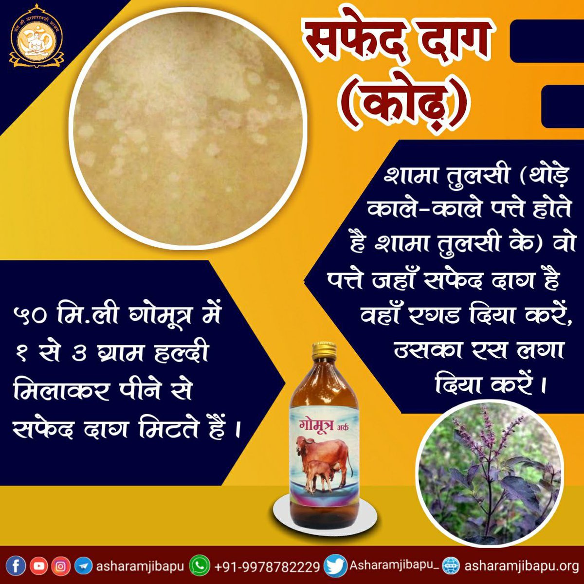 Sant Shri Asharamji Bapu tells in his discourses about  how to attain Wellness Journey by Healthy Living .
For those having white spots- 
Apply leaves of Shyama breed Basil leaves & one can take 50 ml Gaumootra mixed with 1-3 g of turmeric, helps to vanish spots.
#आयुर्वेदामृत